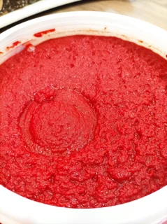 رب خانگی
